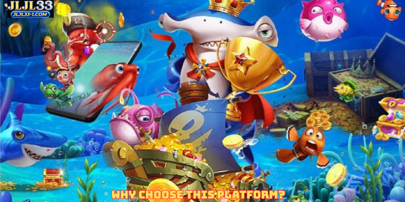 Why Choose This Platform?